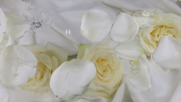 Perły Spadają Powierzchnię Wody Białymi Płatkami Róż Tle Kwiatów Róży — Wideo stockowe