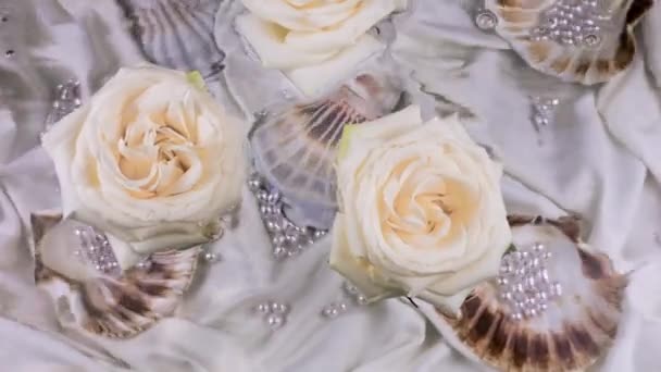 Rosas Brancas Flutuantes Contra Fundo Conchas Com Pérolas Subaquáticas Ondulações — Vídeo de Stock