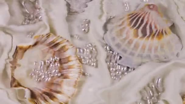 Ondulaciones Superficie Del Agua Sobre Fondo Conchas Marinas Con Perlas — Vídeo de stock