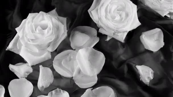 Bloemen Bloemblaadjes Van Witte Rozen Drijven Het Water Een Zwarte — Stockvideo