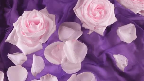Цветы Лепестки Розовых Роз Плавают Воде Темно Фиолетовом Шелковом Фоне — стоковое видео