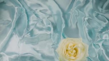 Beyaz gül çiçekleri açık mavi arka planda suyun yüzeyine düşer..