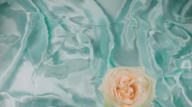 Beyaz gül çiçekleri açık mavi arka planda suyun yüzeyine düşer..