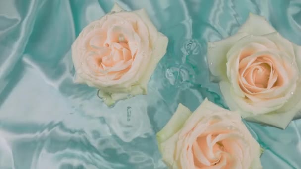 Bílé Květy Růží Vznášejí Vodě Světle Modrém Pozadí Kapky Vody — Stock video