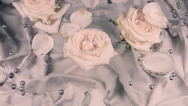 Pétalos Rosa Caen Superficie Del Agua Con Flores Rosas Perlas — Vídeos de Stock