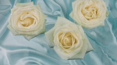 Beyaz gül çiçekleri mavi ipek arka planda suyun yüzeyinde yüzerler..