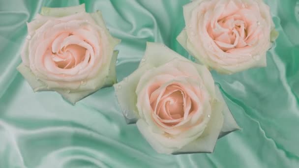 Różowe Kwiaty Róży Pływają Powierzchni Wody Niebieskim Tle Jedwabiu — Wideo stockowe