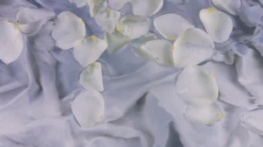 Gül yaprakları dalgalanmalarla suyun yüzeyinde yüzerler. Mavi tonda kompozisyon.