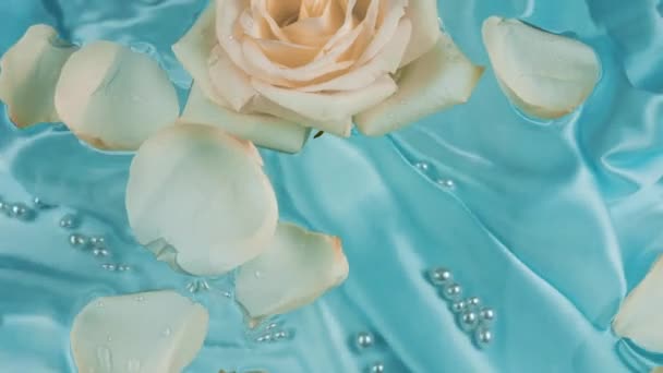 Flowers Petals White Pink Roses Float Surface Water Blue Silk — Stock Video