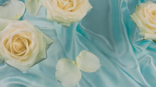 Квіти Пелюстки Білих Троянд Плавають Поверхні Води Синьому Шовковому Фоні — стокове відео
