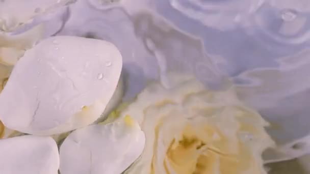 Vízcsepp Esik Felszínre Víz Úszó Fehér Rózsaszirmokkal Háttér Rózsa Virágok — Stock videók