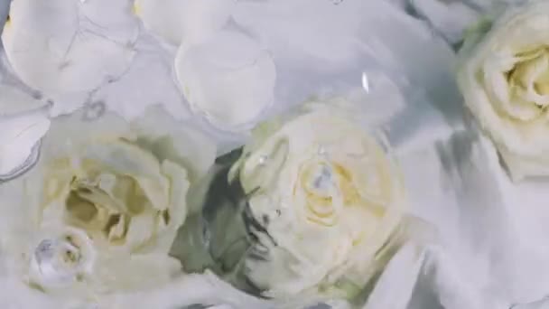Kapky Vody Padají Vodní Hladinu Plovoucími Bílými Okvětními Lístky Růží — Stock video