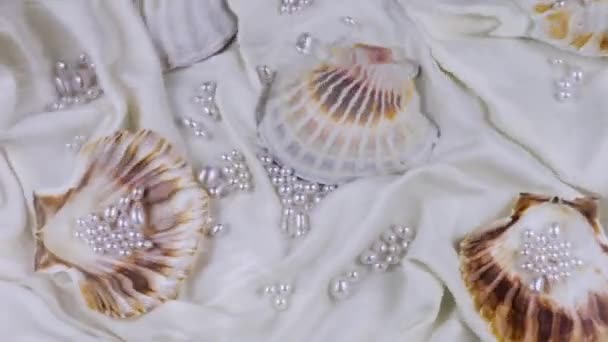 Zęby Powierzchni Wody Tle Muszli Morskich Perłami Pod Wodą — Wideo stockowe