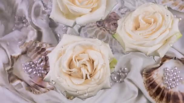 Kapky Vody Padají Vodní Hladinu Vznášející Bílé Růže Pozadí Mušlí — Stock video