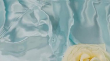 Beyaz gül çiçekleri açık mavi arka planda suyun yüzeyine düşer..