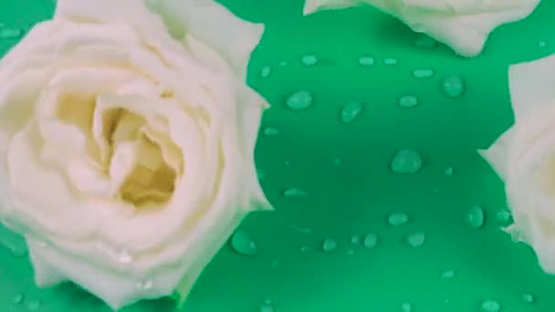 Λευκό Τριαντάφυλλο Λουλούδια Υποβρύχια Ένα Πράσινο Φόντο Και Κυματισμούς Στην — Αρχείο Βίντεο