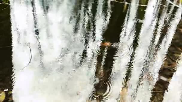 Краплі Дощу Падають Поверхню Води Ставка Лісі — стокове відео
