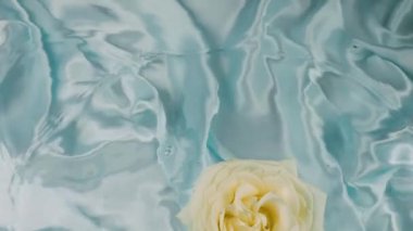 Beyaz gül çiçekleri açık mavi arka planda suyun yüzeyine düşer..