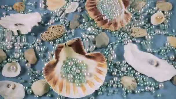 Oester Sint Jakobsschelpen Zeekeien Parels Een Blauwe Onderwaterachtergrond Rimpels Het — Stockvideo