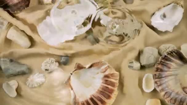 Deniz Tabanının Taklidi Stiridye Istiridye Kabukları Kumlu Kumaş Üzerindeki Deniz — Stok video