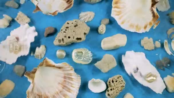Imitace Mořského Dna Ústřice Mušle Mušlí Mořské Oblázky Modrém Podmořském — Stock video