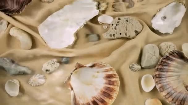Απομίμηση Του Βυθού Στρείδια Και Όστρακα Βότσαλα Άμμο Χρώματος Υφάσματος — Αρχείο Βίντεο