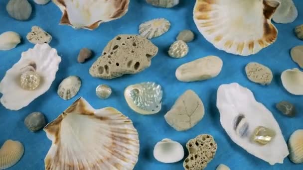 111 海底的模拟 牡蛎和扇贝壳 海卵石在蓝色背景的水下 清澈水面上的裂痕 — 图库视频影像
