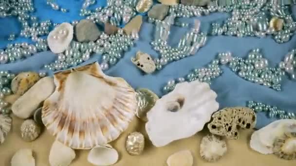 Imitacja Dna Morskiego Oyster Muszle Przegrzebków Kamyki Morskie Perły Tle — Wideo stockowe