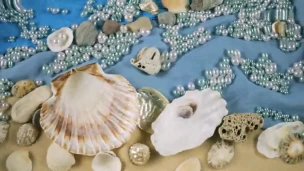 Imitace Mořského Dna Ústřicové Hřebenatkové Skořápky Mořské Oblázky Perly Pozadí — Stock video