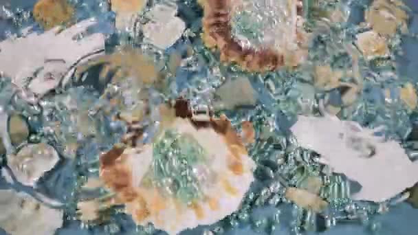 Στρείδια Και Όστρακα Βότσαλα Και Μαργαριτάρια Μπλε Φόντο Κάτω Από — Αρχείο Βίντεο