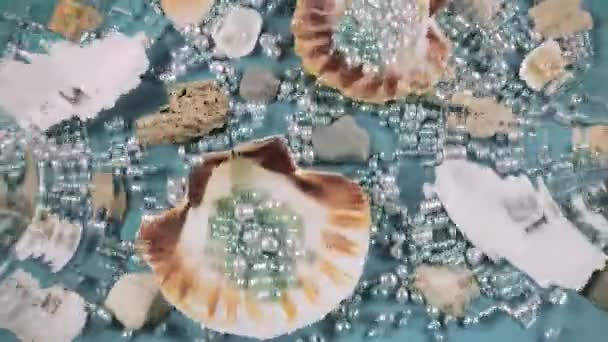 Stiridye Istiridye Kabukları Deniz Taşları Altında Mavi Bir Zemin Üzerinde — Stok video
