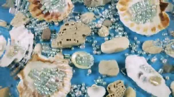 Austern Und Jakobsmuscheln Seekiesel Und Perlen Vor Blauem Hintergrund Unter — Stockvideo