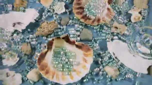 Austern Und Jakobsmuscheln Seekiesel Und Perlen Vor Blauem Hintergrund Unter — Stockvideo