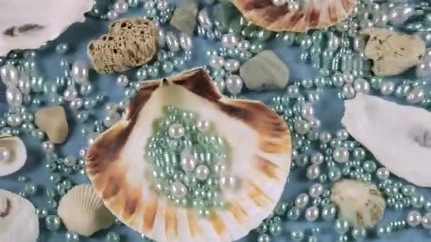 Coquilles Huîtres Pétoncles Cailloux Mer Perles Sur Fond Bleu Sous — Video