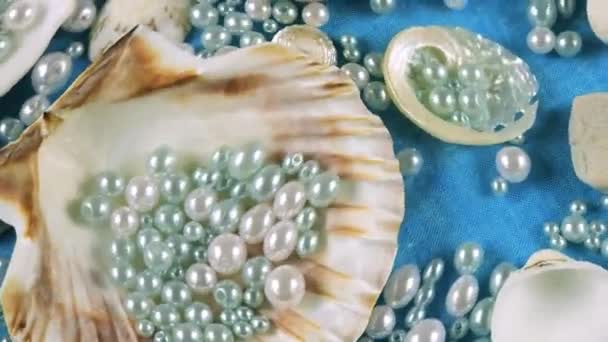 Oester Sint Jakobsschelpen Zeekeien Parels Een Blauwe Onderwaterachtergrond Rimpels Het — Stockvideo