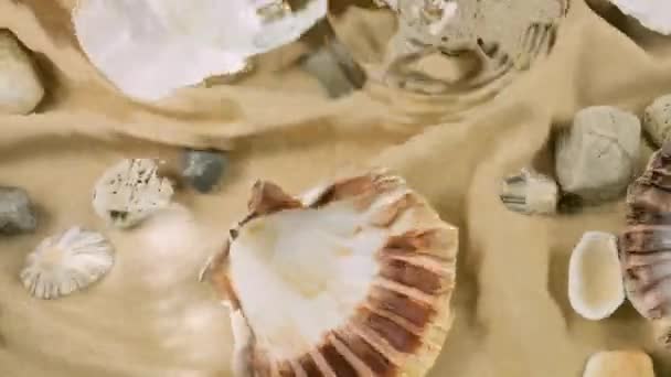 Nachahmung Des Meeresbodens Austern Und Jakobsmuscheln Seekiesel Auf Sandfarbenem Stoff — Stockvideo