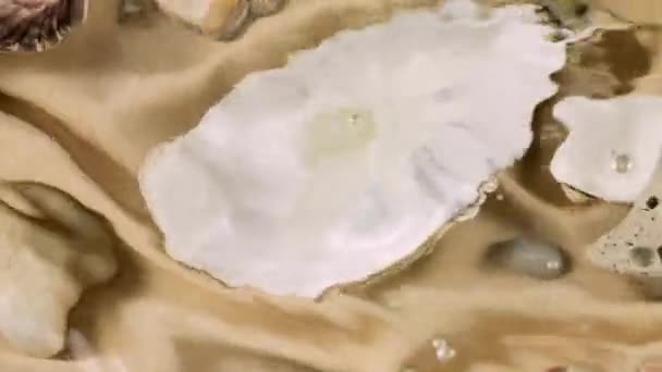 海底をイメージする オイスターとスカロップ貝 海の小石 砂色の生地の水中 透明な水面のリップル — ストック動画