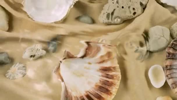 Imitação Fundo Mar Conchas Ostra Vieira Seixos Mar Tecido Cor — Vídeo de Stock