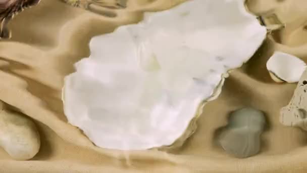 海底をイメージする オイスターとスカロップ貝 海の小石 砂色の生地の水中 透明な水面のリップル — ストック動画