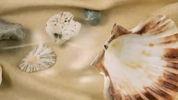 Imitacja Dna Morskiego Ostrygi Muszle Przegrzebków Kamyki Morskie Piaskowej Tkaninie — Wideo stockowe