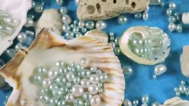 水底蓝底的牡蛎和扇贝壳 海石和珍珠 清澈水面上的裂痕 — 图库视频影像