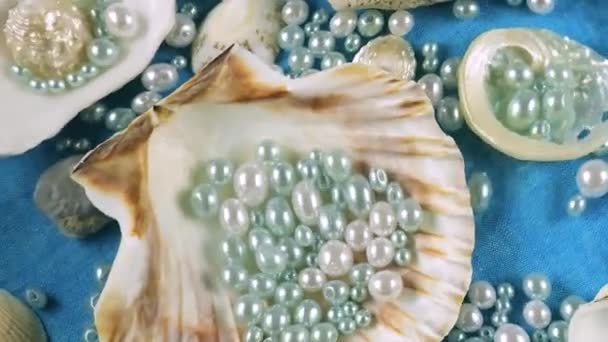Oyster Muszle Przegrzebków Kamyki Morskie Perły Niebieskim Tle Pod Wodą — Wideo stockowe