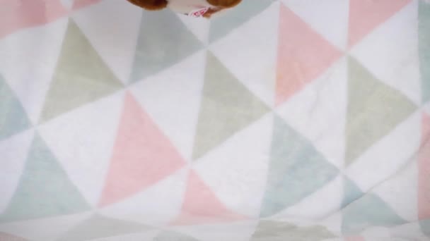 Фарширована Пухнаста Плюшева Іграшка Падає Яку Дитячу Ковдру Повільний Рух — стокове відео