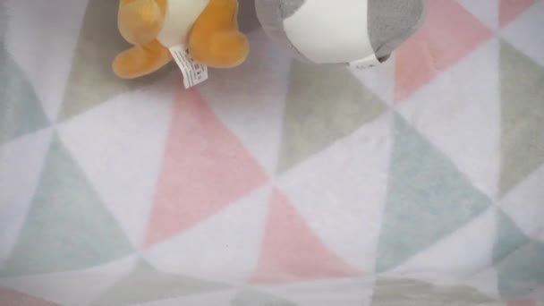 Doldurulmuş Pofuduk Oyuncaklar Bumeranglı Bir Kanguru Yumuşak Bir Bebek Battaniyesine — Stok video
