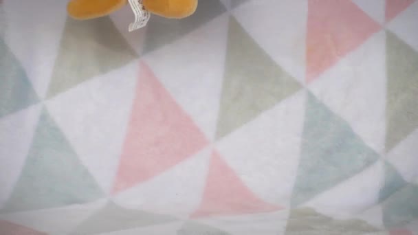Фаршировані Пухнасті Плюшеві Іграшки Кенгуру Бумерангом Коала Падає Яку Дитячу — стокове відео