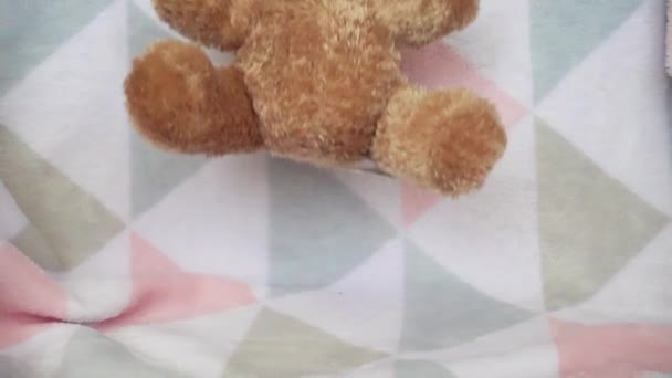 Boneka Dan Boneka Boneka Beruang Coklat Yang Berbulu Jatuh Atas — Stok Video
