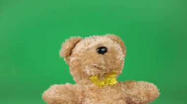 Doldurulmuş ve pofuduk oyuncak kahverengi ayı yeşil arka planda oynuyor ve dans ediyor..