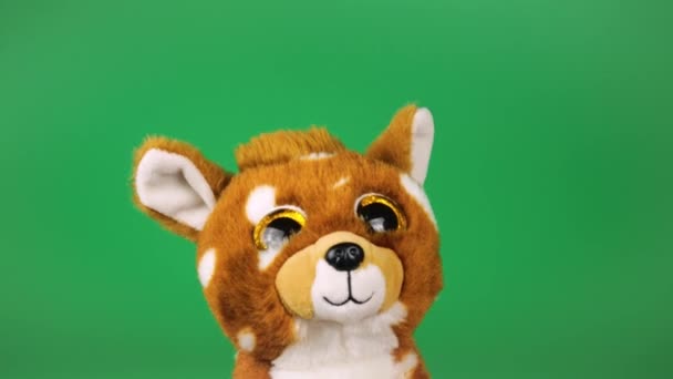 Nadziewane Puszyste Pluszowe Zabawki Płowe Obroty Rozgląda Się Zielonym Tle — Wideo stockowe