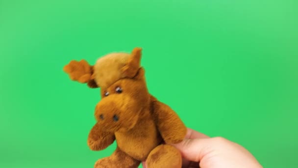 Stuffed Fluffy Plush Toy Moose Playing Dancing Green Background Toy — Stock Video