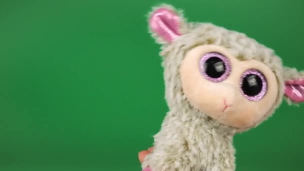 Stuffed Fluffy Plush Toy Sheep Playing Dancing Green Background — Stock Video